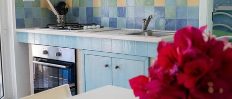 Fridge, oven, stovetop, coffee/tea maker