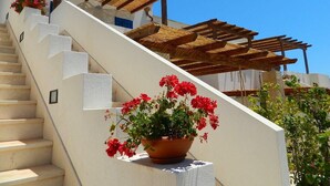 Eine Treppe mit einer Holzpergola und einem Topf mit roten Blüten.