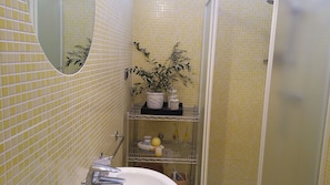 Shower, hair dryer, bidet, toilet paper