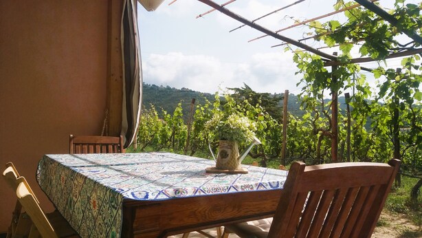 A table with a patterned tablecloth, a wooden chair, and a potted plant on a balcony overlooking a vineyard. - Imperia, two-bedroom apartment, nature, and reax (Imperia)