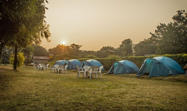 A campsite with several tents and plastic chairs arranged in a field. - Corbett Wild Resort - A River Access Property (Ramnagar)