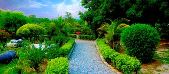 Corbett Wild Resort - A River Access Property