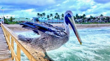 Vlak bij het strand, ligstoelen aan het strand, strandlakens