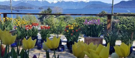 Terrain de lâhĂ©bergement