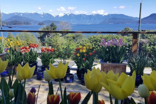 Spring time!