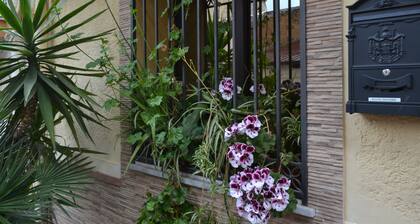 Jolly House Bolognetta