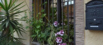 Jolly House Bolognetta