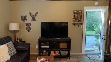 Tv, eldstad, dvd-spelare och böcker