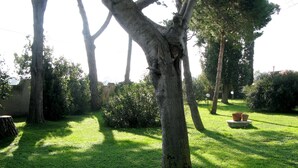 Um jardim bem cuidado, com diversas árvores e gramado.