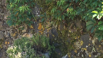 Detalle exterior