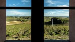 Visão através de uma janela de uma paisagem de vinhedos com colinas onduladas e casas ao longe.