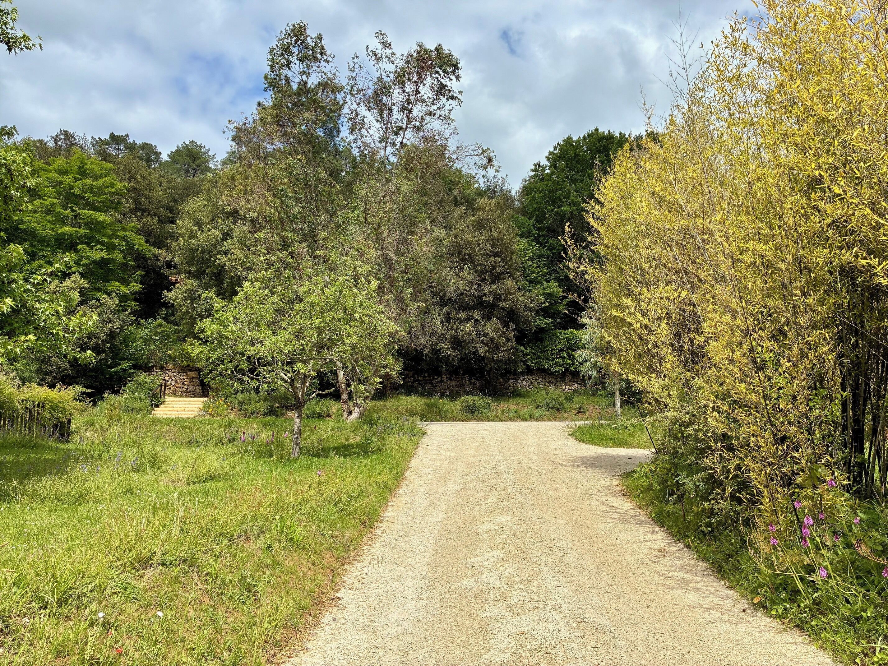 Un sentier de gravier traverse une zone boisée, avec un escalier en pierre et un feuillage dense.