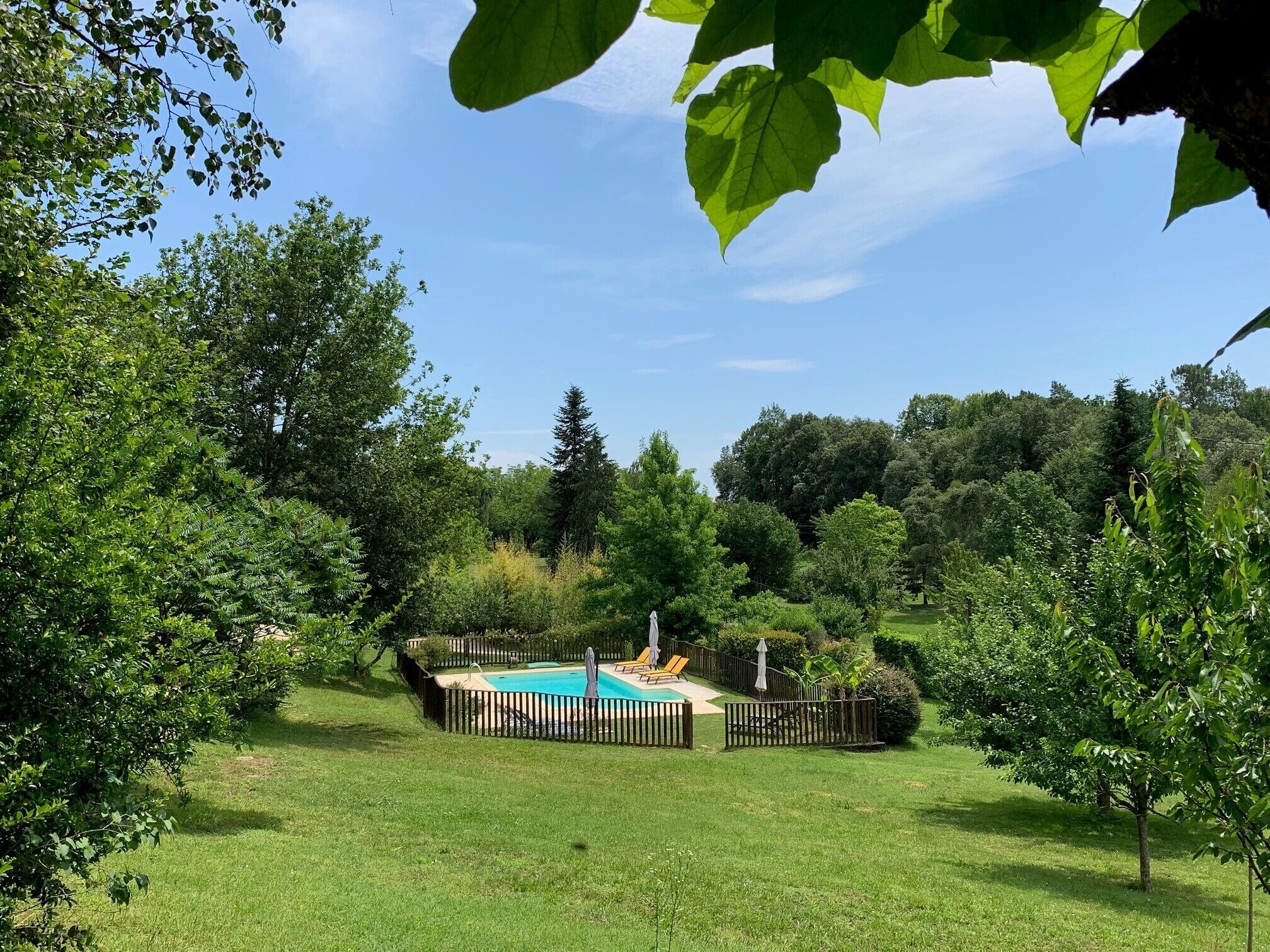 A backyard with a swimming pool, surrounded by a wooden fence and lush greenery.