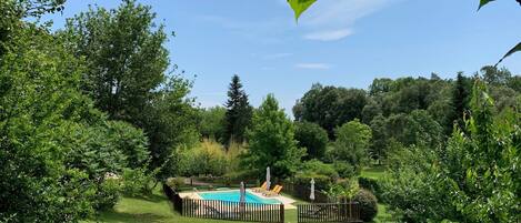 A backyard with a swimming pool, surrounded by a wooden fence and lush greenery.