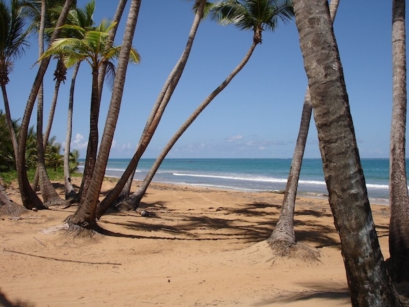 Serviettes de plage