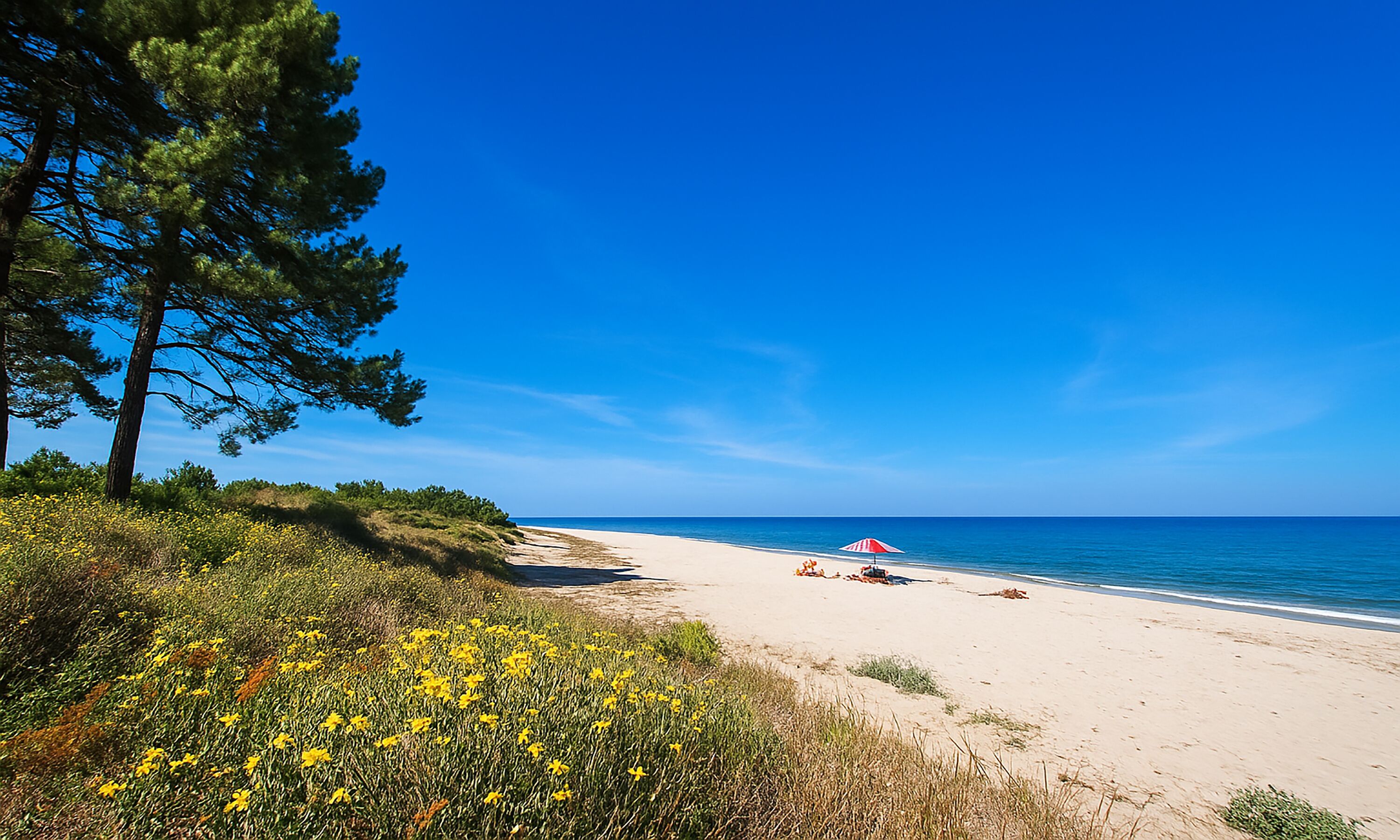 Ein Strand mit blauem Himmel, sandigem Ufer und einem roten Sonnenschirm.