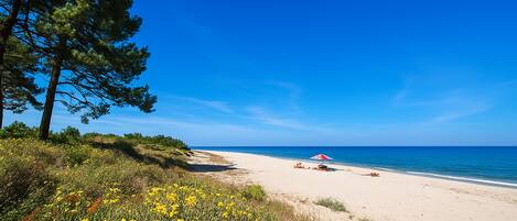 Ein Strand mit blauem Himmel, sandigem Ufer und einem roten Sonnenschirm.