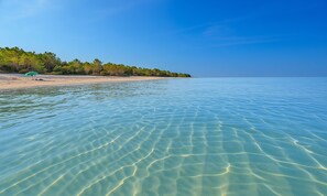 A beach with clear water, a tent, and a forested area.