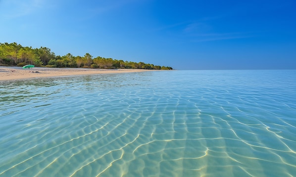 A beach with clear water, a tent, and a forested area.