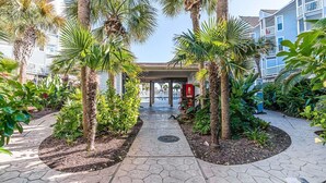 A pathway flanked by palm trees and tropical plants, leading to a covered area with a red mailbox.