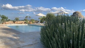 A swimming pool with lounge chairs, a stone wall, and a large bush in the foreground.