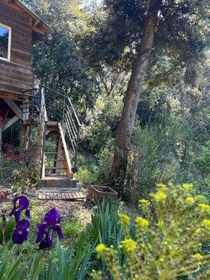 Property grounds - cabin among the trees (Cervione)