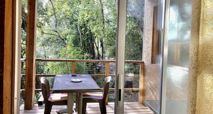 cabin among the trees