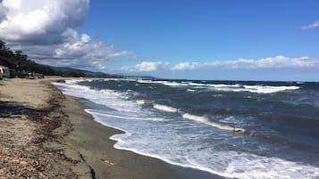 Plage à proximité, chaises longues, serviettes de plage