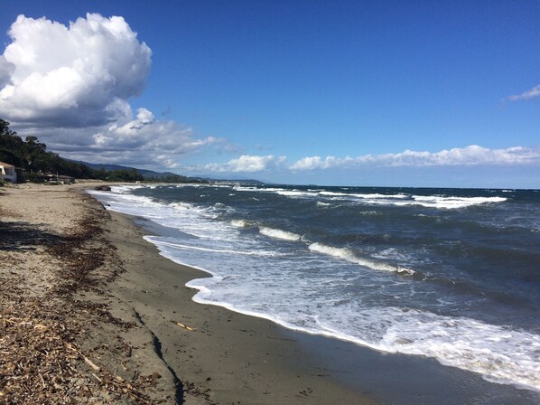 Nær stranden, solsenger og strandhåndklær