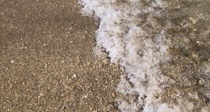 Pompano Beach House 5 min. from the Ocean. Heated salt water pool