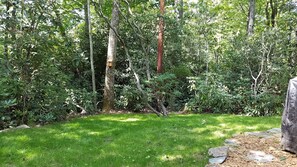 Surround yourself with nature in our serene outdoor space, featuring lush trees, shrubs, and a tranquil atmosphere.