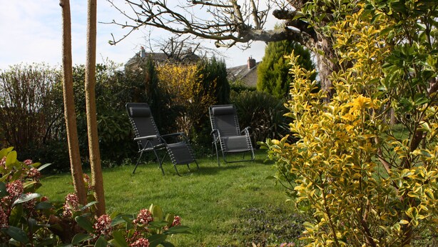 Un jardin avec deux chaises longues, une pelouse verdoyante et diverses plantes et arbres.