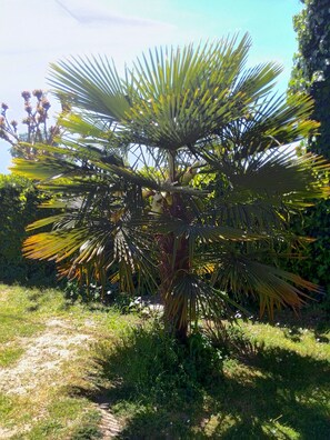 Área da propriedade