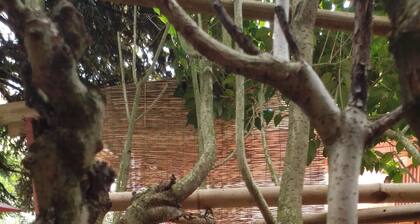La Cabane Bordeaux St Augustin Petits déjeuners offerts