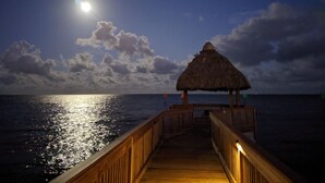 A wooden pier leading to a thatched-roof structure with a view of the ocean and a moonlit sky.