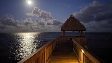 A wooden pier leading to a thatched-roof structure with a view of the ocean and a moonlit sky.