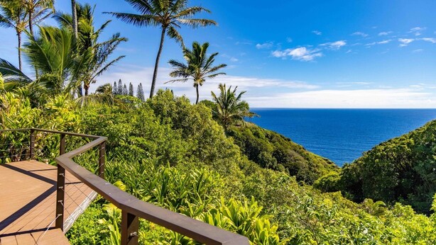 A lush, tropical landscape with a wooden deck overlooking a coastal view.
