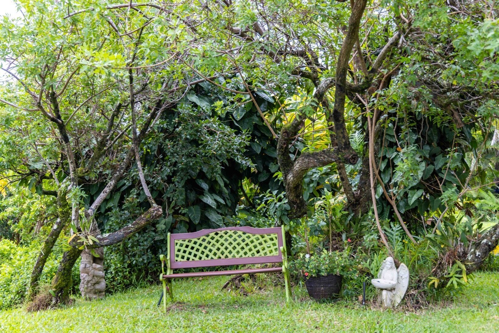 A bench in a lush garden with dense foliage and a statue nearby.