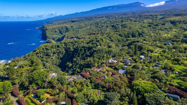 Un paisaje exuberante y verde con vistas al mar, que combina edificaciones residenciales y vegetación densa.