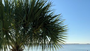 A beach with a palm tree, a wooden pier, and a sandy path leading to the water. - A Santa Rosa Sound Waterfront home on 2 acres with a private beach and 200’ dock (Mary Esther)