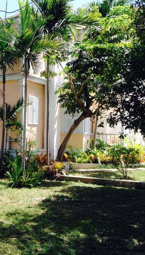 Área da propriedade