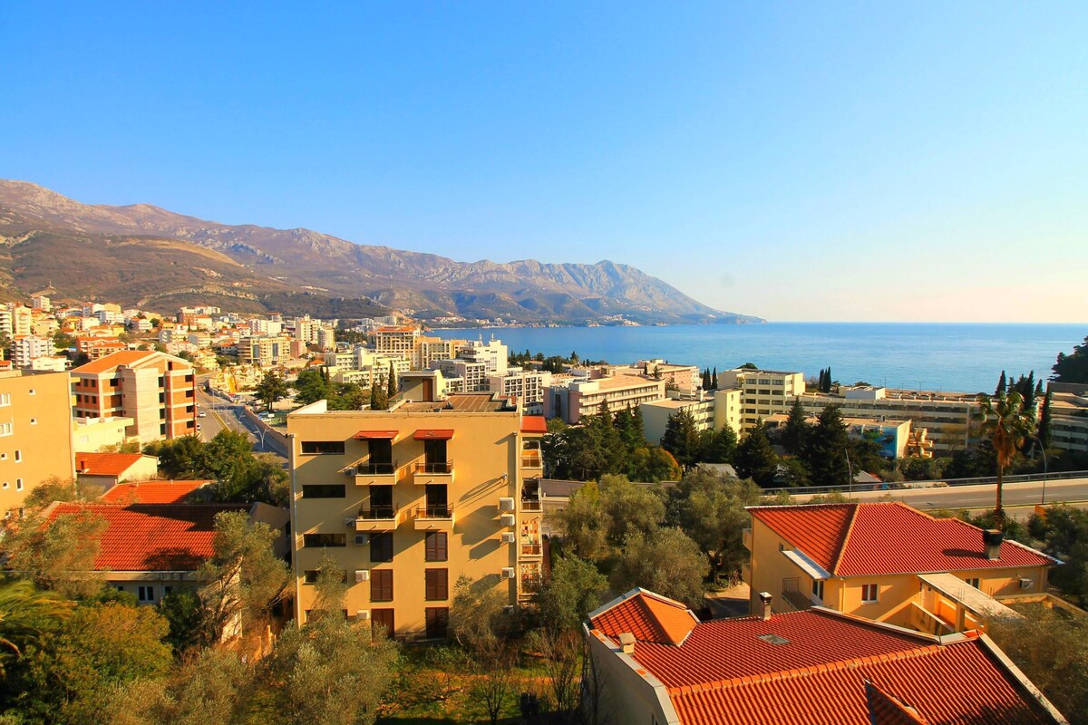 Classic Apartment, 1 Queen Bed with Sofa bed, Sea View | Balcony view