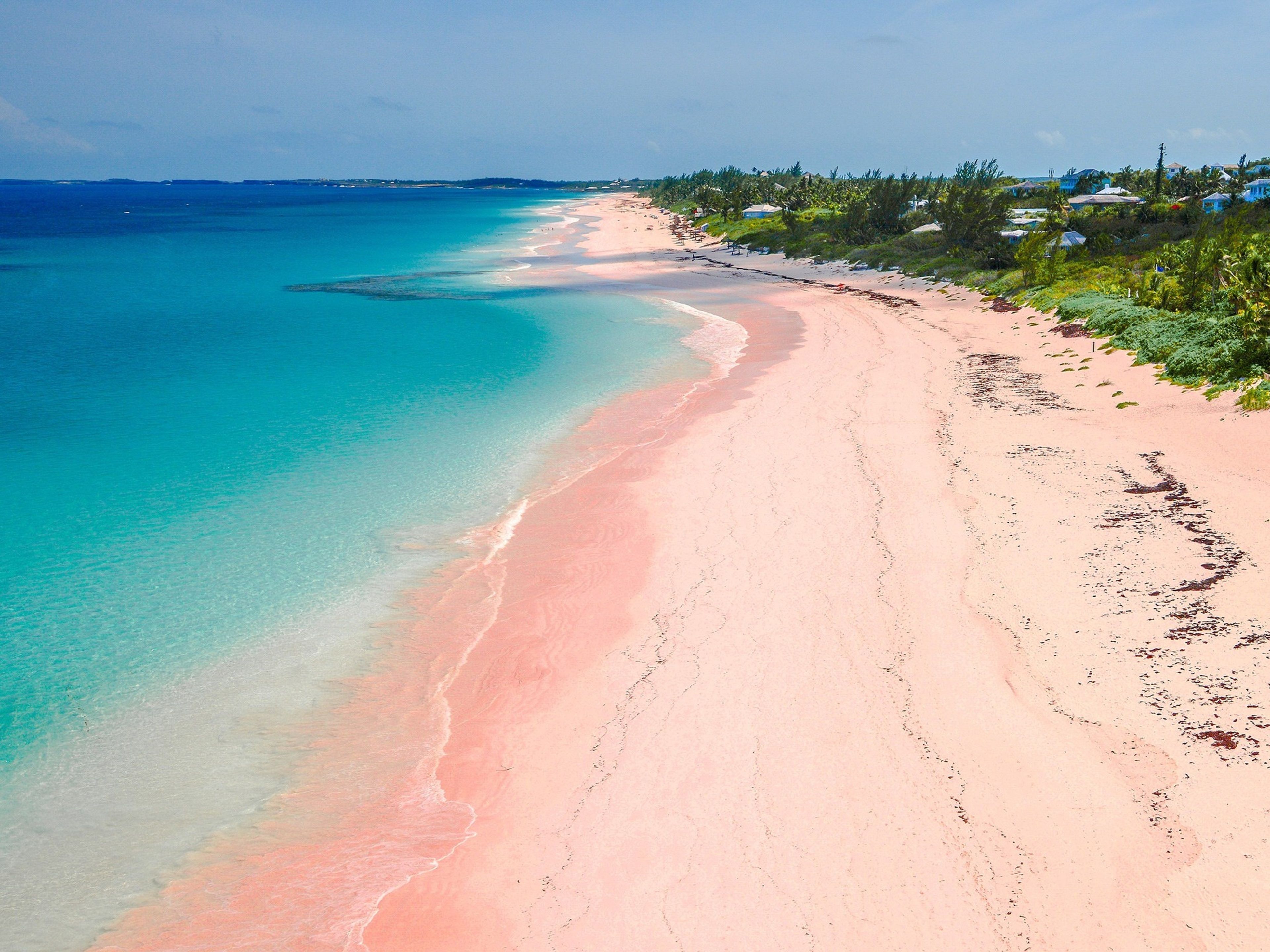 Une vaste plage aux eaux turquoise et limpides, bordée d’un rivage de sable rose.