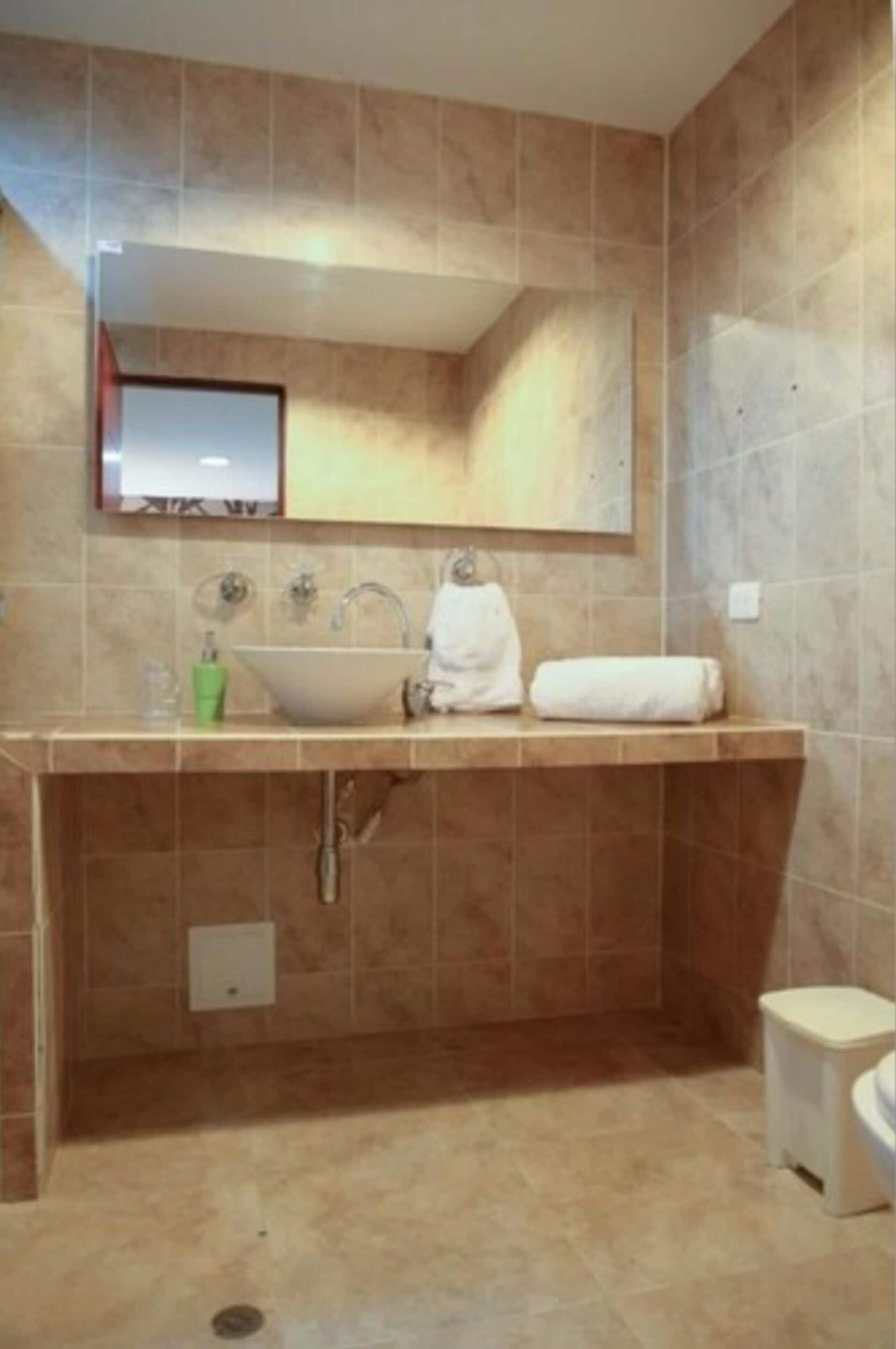 A bathroom with a large sink, a mirror above it, and a toilet to the right.
