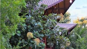 Ảnh chưa phân loại, 5 trong số 7 ảnh, nút