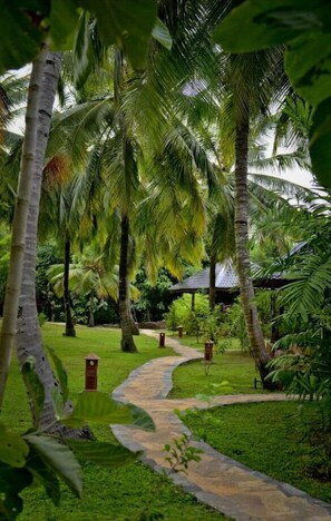 Jardin