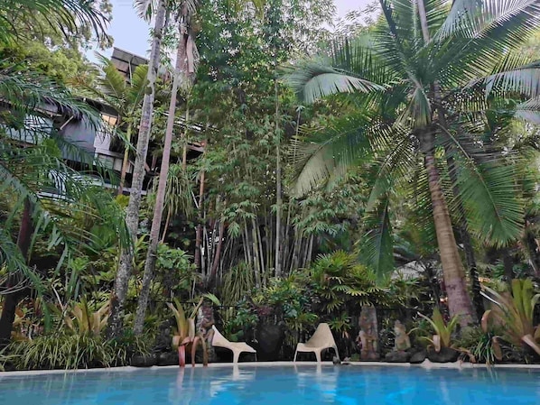 A pool surrounded by dense tropical vegetation and a few chairs.