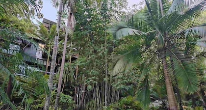 Alaya Ascend | Seminyak Pool-view Room | Sunshine Coast Retreat