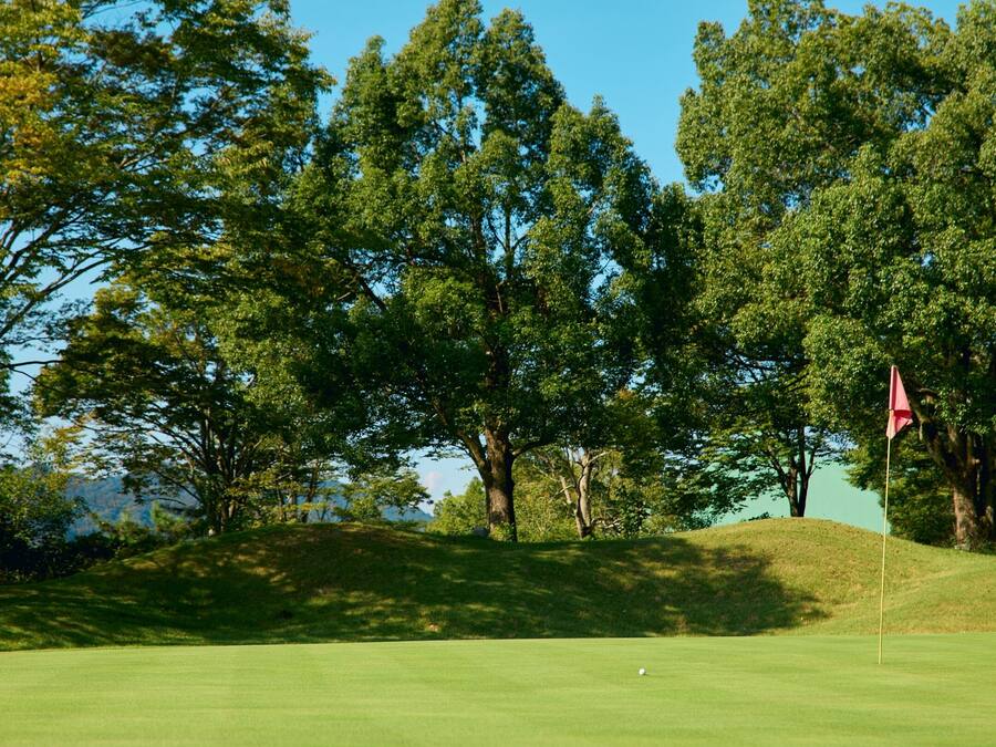 A golf course with a flagstick on a green, surrounded by trees and a clear sky.