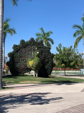 Áreas de la propiedad